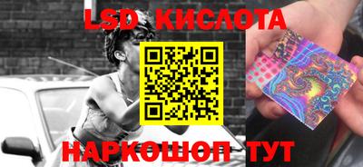 ешки Кингисепп