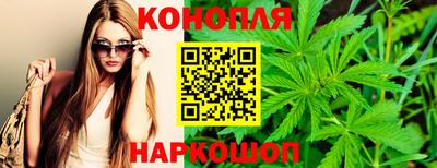 ешки Кингисепп