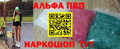 ешки Кингисепп
