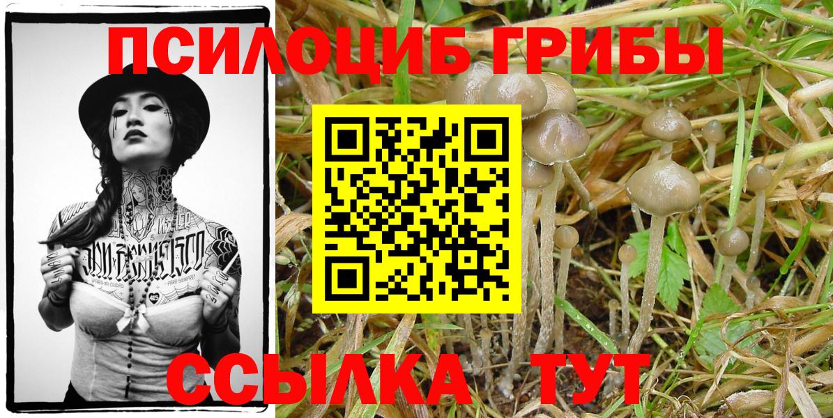 Псилоцибиновые грибы прущие грибы  Вход с VPN  Кудымкар 